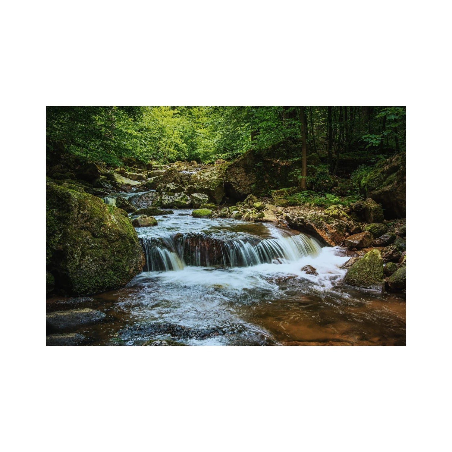 an image of an irish river in a forest